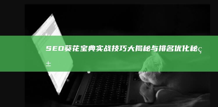 SEO葵花宝典：实战技巧大揭秘与排名优化秘籍